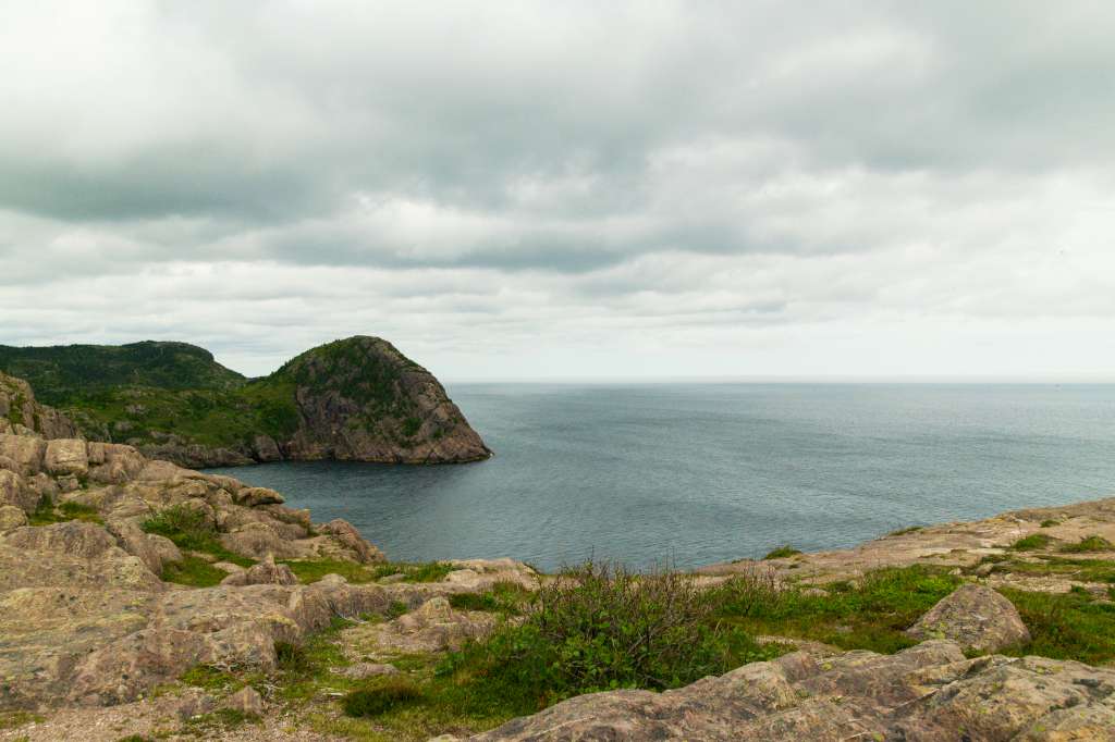 (c)William van Wyk2016 015874352578