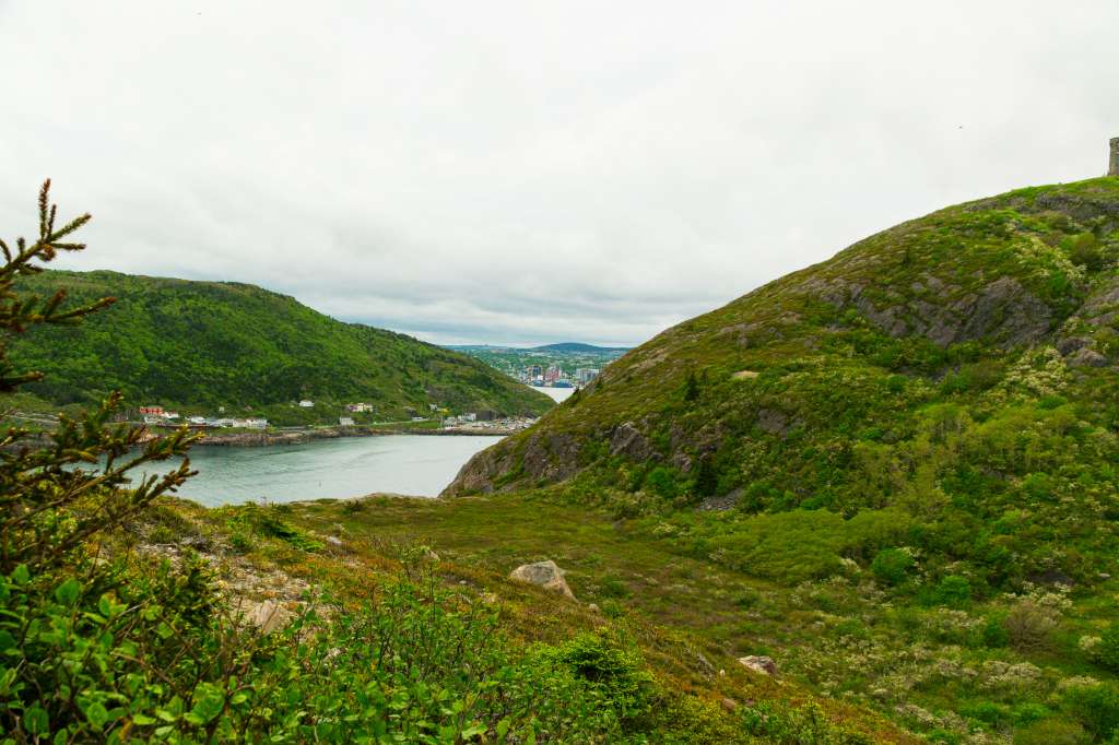 (c)William van Wyk2016 015874352578