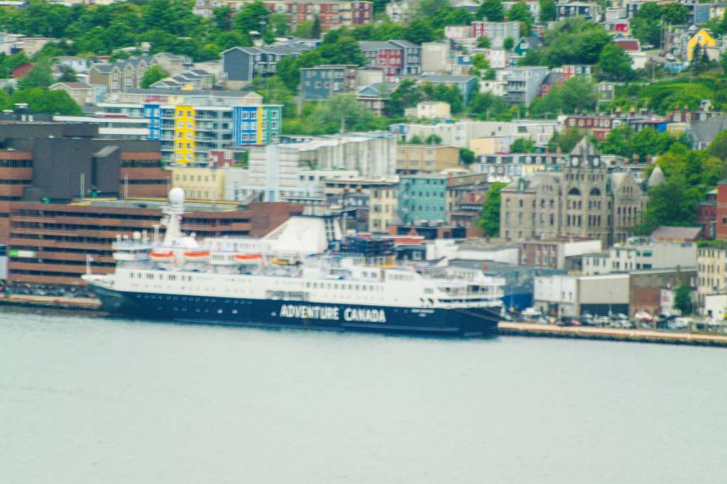 (c)William van Wyk2016 015874352578