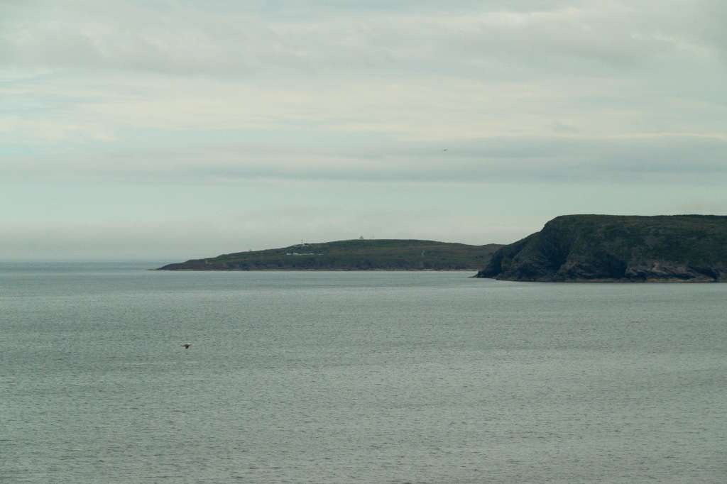 (c)William van Wyk2016 015874352578