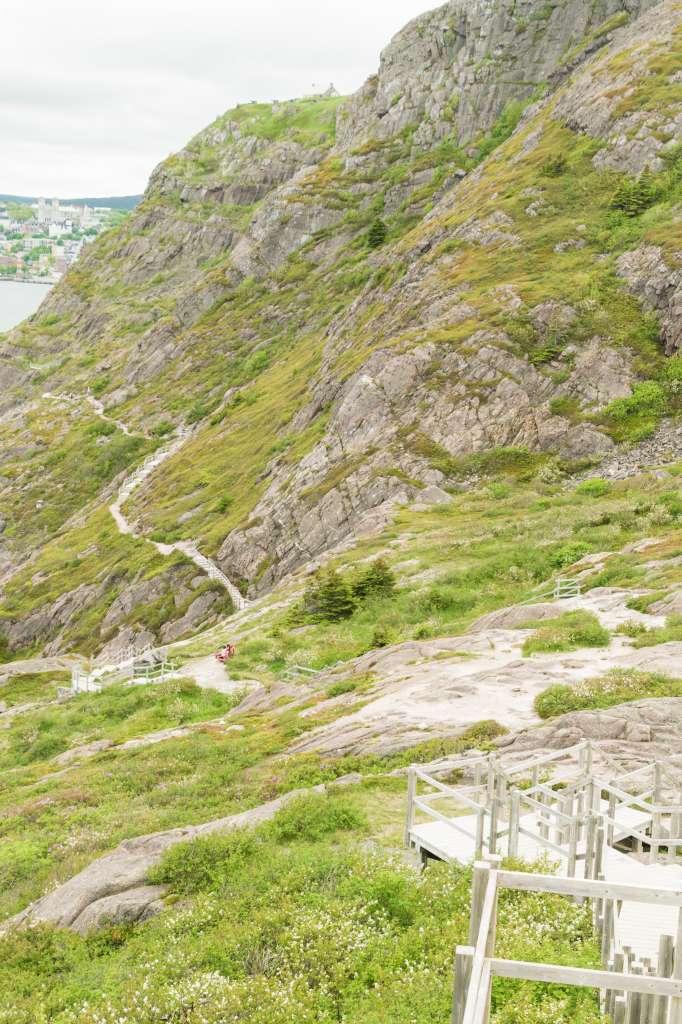 (c)William van Wyk2016 015874352578