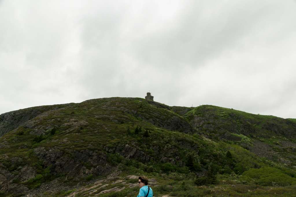 (c)William van Wyk2016 015874352578