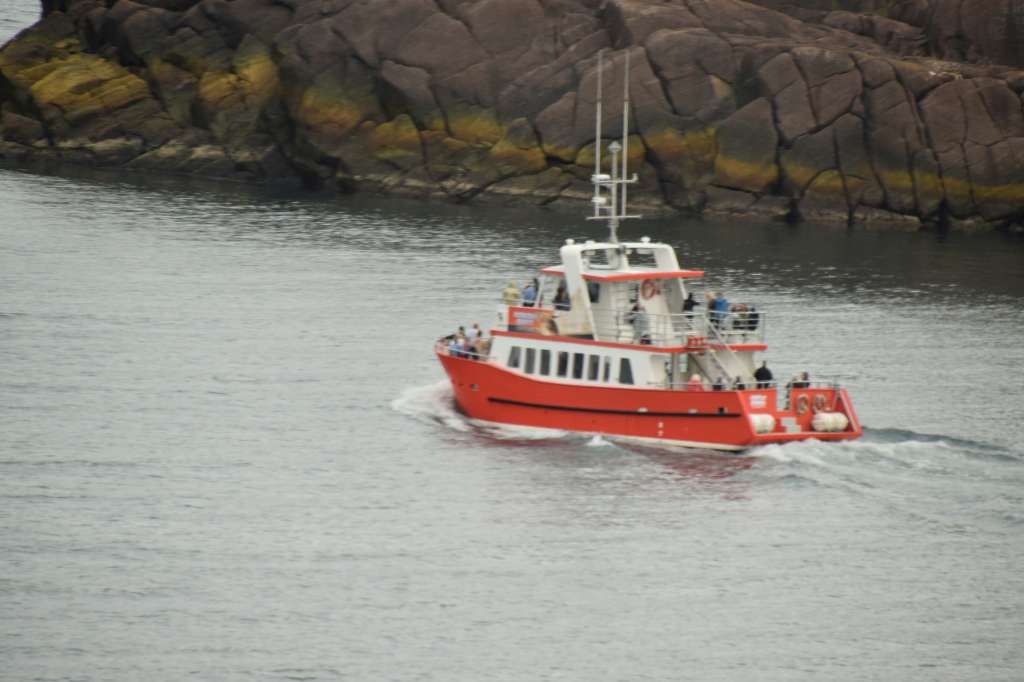 (c)William van Wyk2016 015874352578