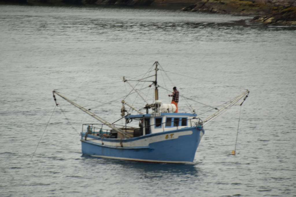 (c)William van Wyk2016 015874352578