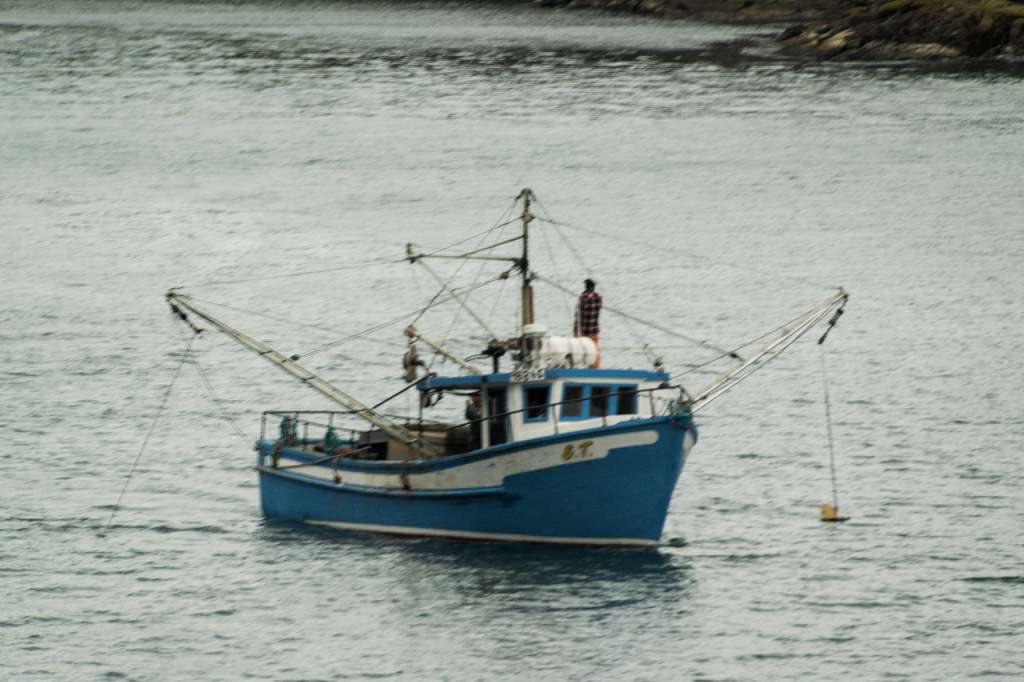 (c)William van Wyk2016 015874352578