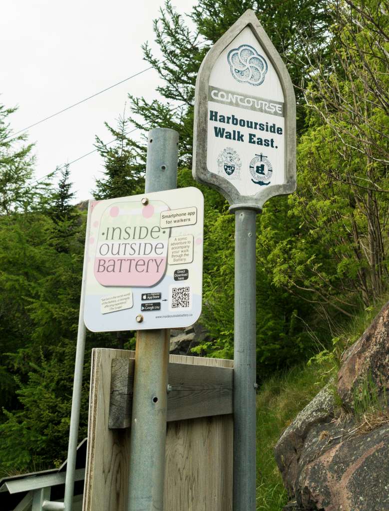 (c)William van Wyk2016 015874352578