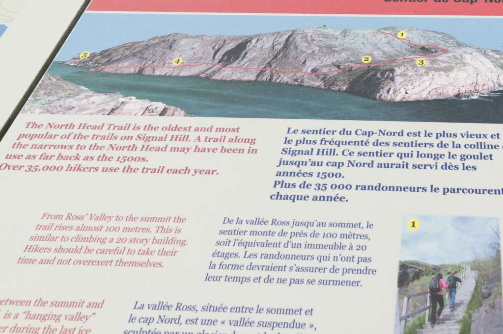 (c)William van Wyk2016 015874352578