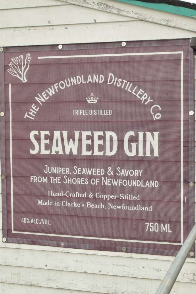 (c)William van Wyk2016 015874352578