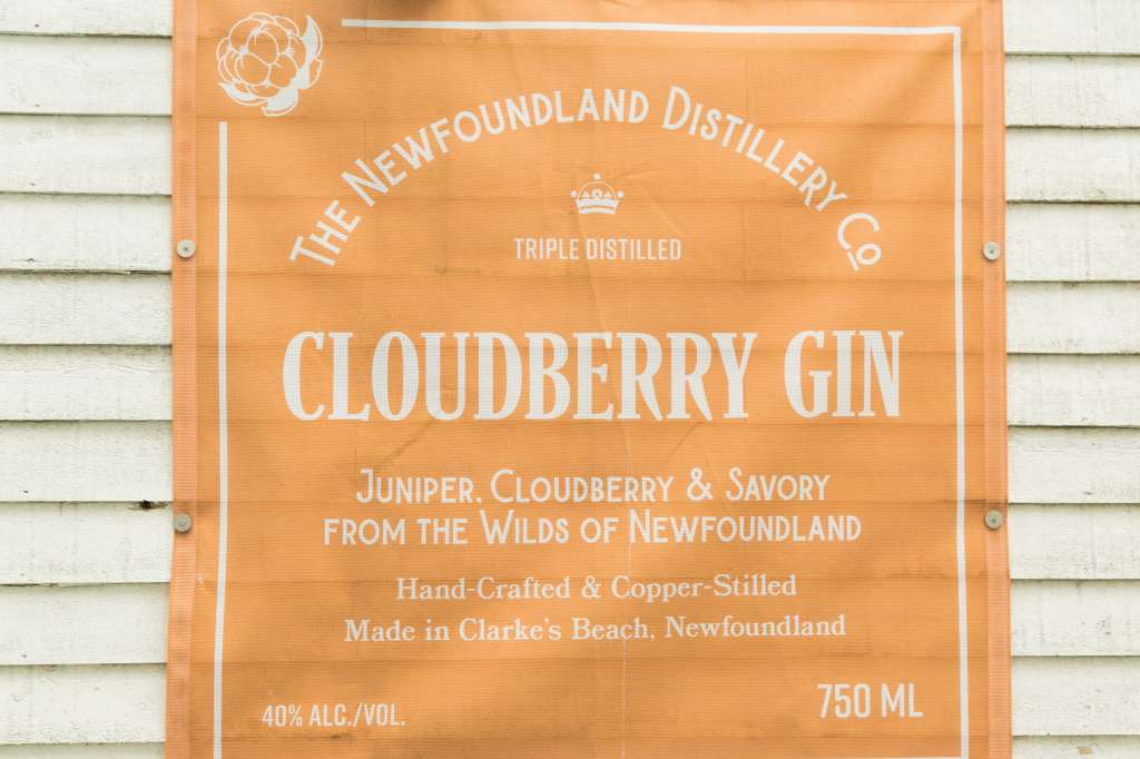 (c)William van Wyk2016 015874352578