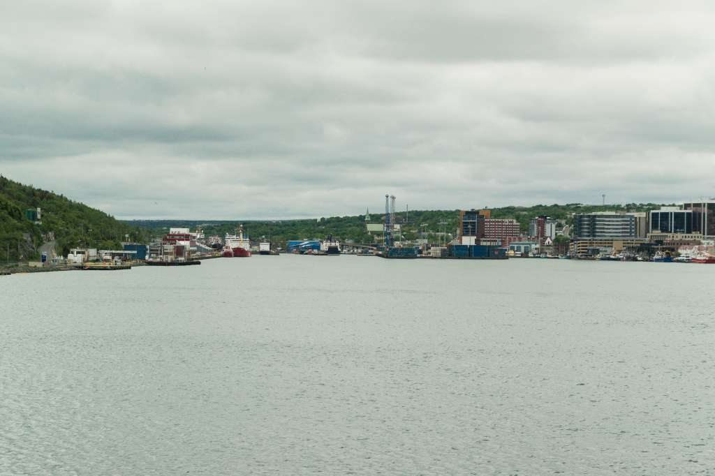 (c)William van Wyk2016 015874352578