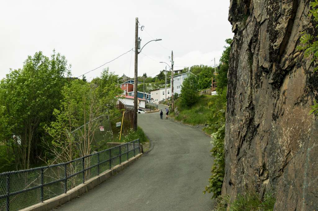 (c)William van Wyk2016 015874352578