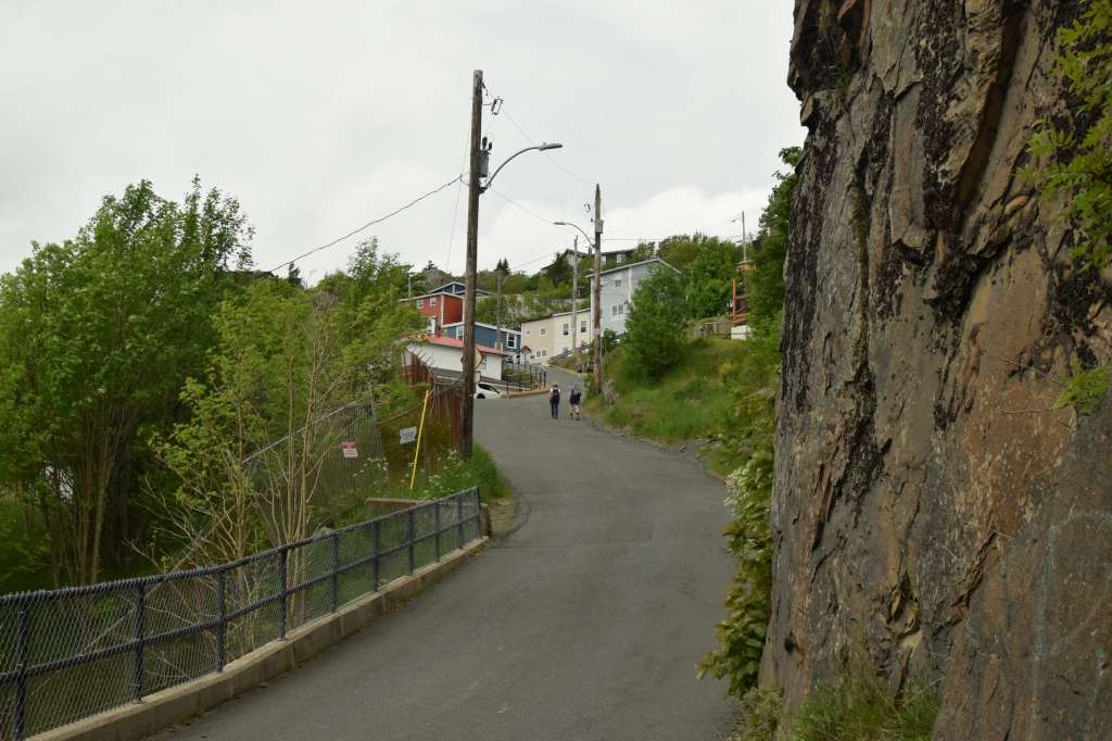 (c)William van Wyk2016 015874352578