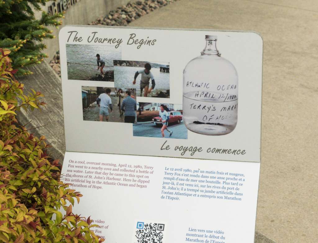 (c)William van Wyk2016 015874352578